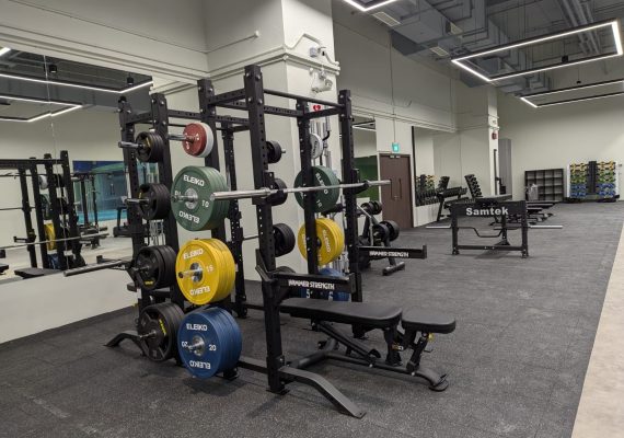 1730861579-Squat rack and seal row